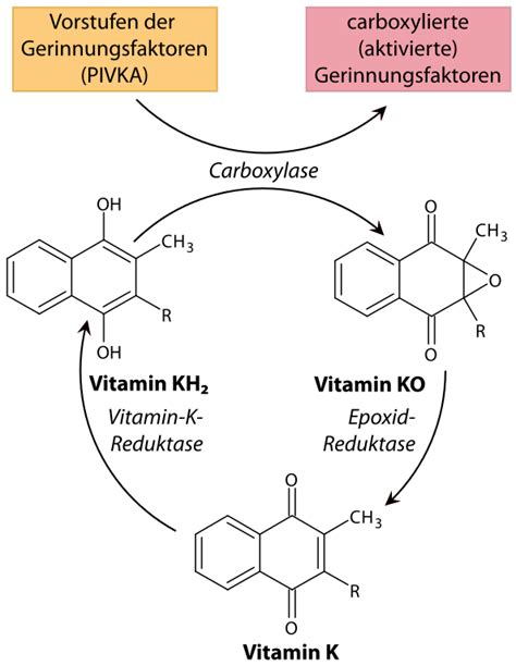 Der name aspirin leitet sich vom echten mädesüß, auch spire genannt (veraltet: Difference Between Vitamin K and K2 | Difference Between