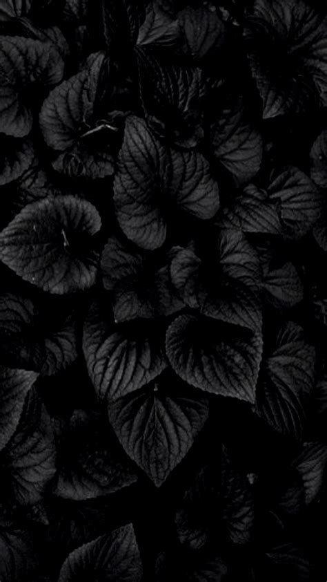 Dark Flower Wallpapers Top Free Dark Flower Backgrounds WallpaperAccess