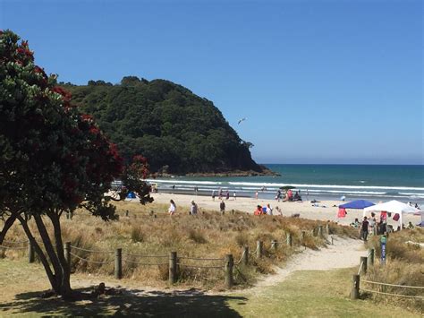 Megbízott Választás Születésnap Waihi Beach Top Ten Holiday Park