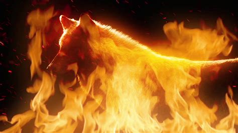 Wolf In Flames Abstract Motion Graphics Videohive