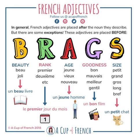 Animals And French Adjectives Artofit