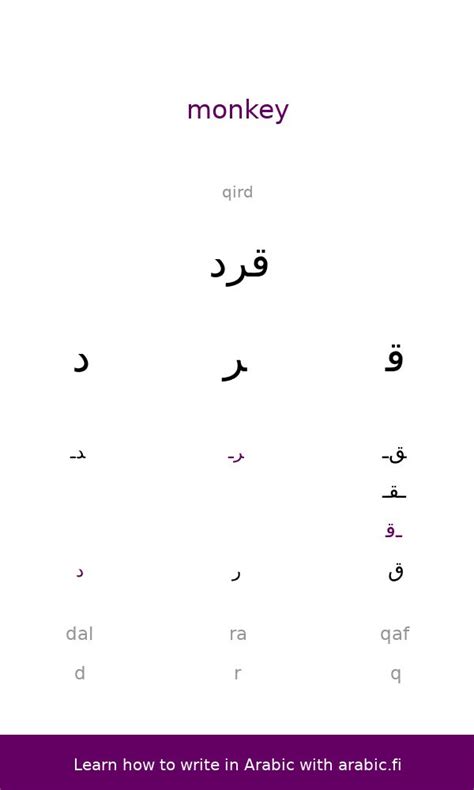 The Arabic Word Monkey The Word In Arabic English Transcription