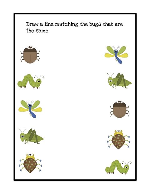 Printable Bug Worksheets For Kids Bugs Preschool Preschool Preschool