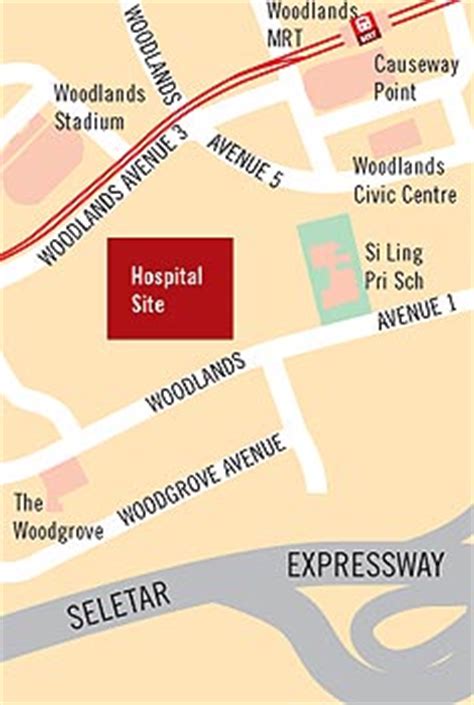 .existing yishun polyclinic, yishun pond, and a planned site for a future community hospital (figure 3.1). Khoo Teck Puat (AH @ Yishun / Sembawang / Northern General ...