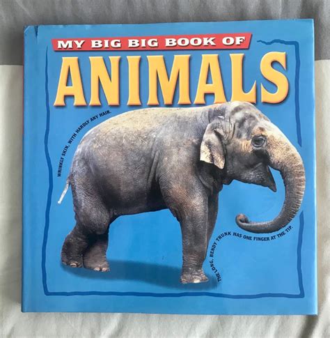 My Big Big Book Of Animals Hobbies And Toys Books And Magazines Children