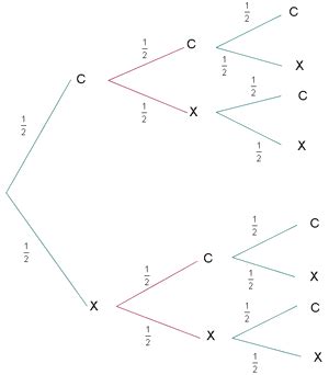 Diagramas En Rbol Probabilidad Y Estad Stica Hot Sex Picture