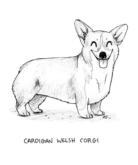 Corgi Drawing Sketch Coloring Page