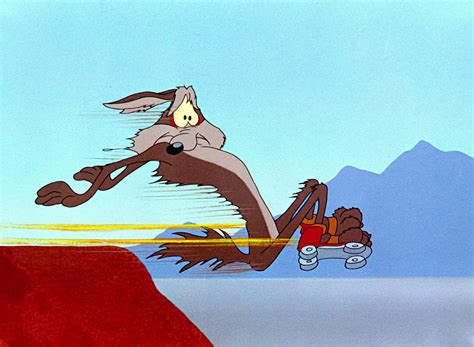 Ryans Blog Wile E Coyote And Road Runner Pictures