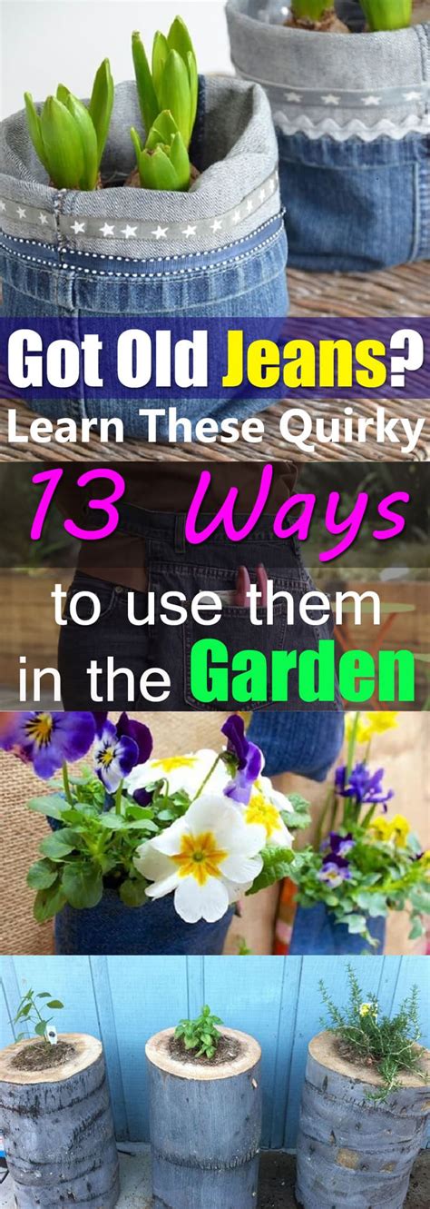 When your plants outgrow their temporary homes, place them in eggshells into the soil. 13 DIY Jeans Uses In The Garden | Balcony Garden Web