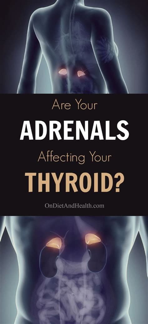 The Adrenal And Thyroid Connection Adrenal Health Thyroid Health