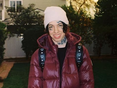 Lil Xan Total Xanarchy Stream Cover Art And Tracklist Hiphopdx