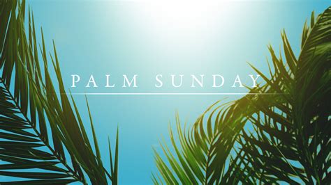 Who Is Your King Reflections For Palm Sunday Ben Hein
