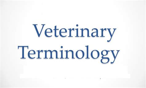 Important Veterinary Medicine Terminology