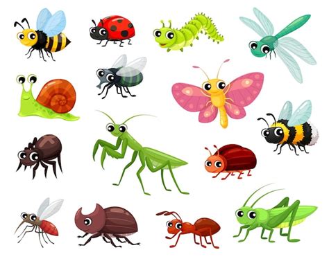 Premium Vector Cartoon Insects Funny Kid Characters Bug Beetle