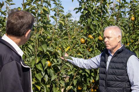 Research Program Brings New Tender Fruit Varieties To Niagara On Theregional