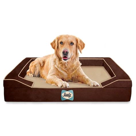 We did not find results for: Best Extra Large Dog Beds For Large Dogs & Giant Breeds ...