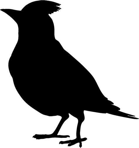 Download Cardinal Decal STOB #2 Wildlife Bird Window Decals/Stickers - Wildlife Decal