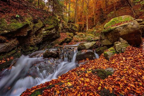 Waterfall In Autumn Autumn Leaves Cascades Waterfall Trees
