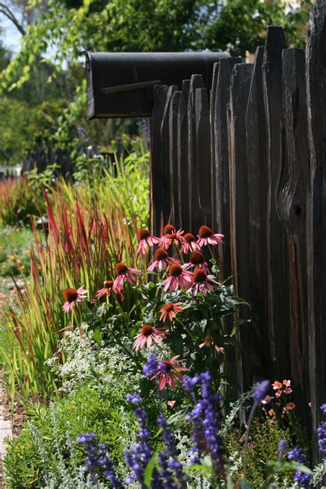 Landscaping design garden and pool landscaping Carmel-Style Cottage - Traditional - Landscape - San ...