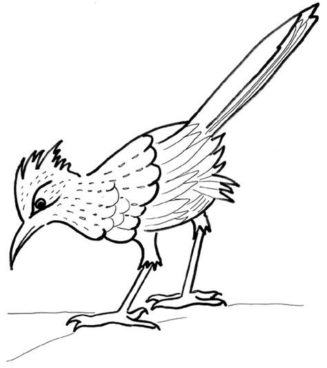 Roadrunner Clipart 20 Free Cliparts Download Images On Clipground 2024