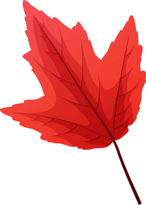 Top 75 Imagen Fall Leaf Clipart Transparent Background