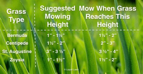 Mowing Heights Liquid Lawn What Height Do I Mow My Lawn