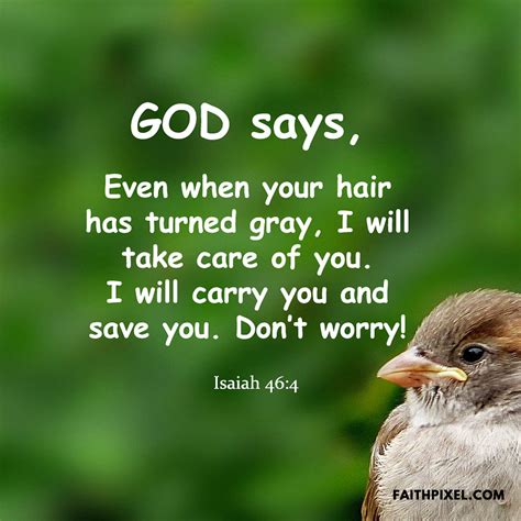 Isaiah 46:4 Even when your hair has turned gray, I will take care of ...