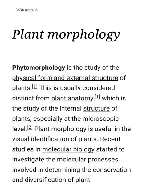 Plant Morphology Wikipedia Pdf Plant Morphology Developmental