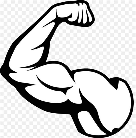 Muscle Arm Drawing Free Download On Clipartmag