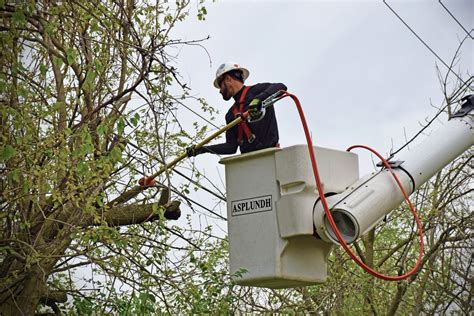 Whats Your Tree Trimming Policy Aep Ohio Wire