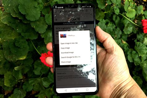 How To Image Search On Android How To Perform A Reverse Image Search