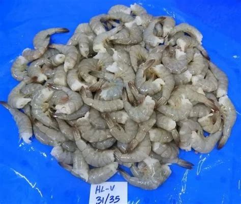 Headless Vannamei Shrimps 31 35 Grade At Best Price In Chennai