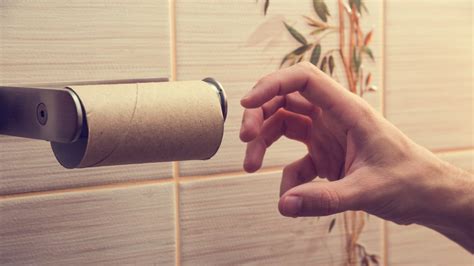 Heres What People Used Before Toilet Paper Was Invented