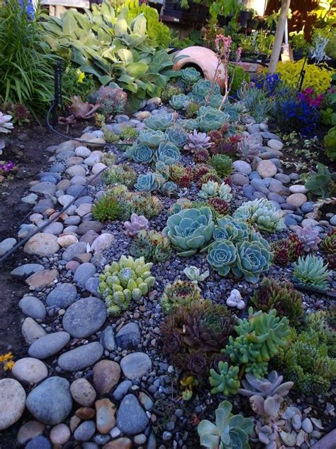 71 Garden Decorating Ideas With Rocks And Stones Succulent Landscape