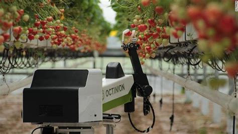 Robotic Farmer May Be The Future Of Human Agriculture Personal Robots