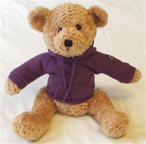 American heritage® dictionary of the english language Funky Bear Mauvy - Personalized Teddy Bear with Hoodie