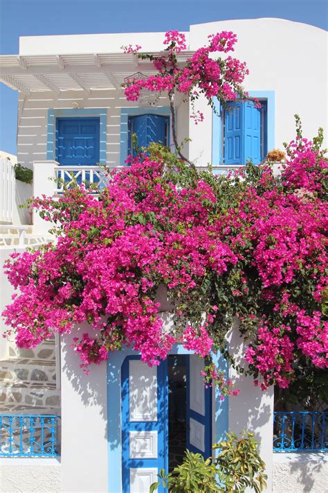 5 Off The Beaten Path Greek Islands That You Should Visit Flowers