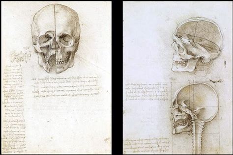 Materijal koji koristimo u izradi naših. Come È Morto Leonardo Da Vinci / LEONARDO DA VINCI E SEU ...