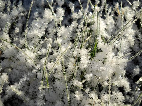 My Nature Photography Ice Crystals In Macro