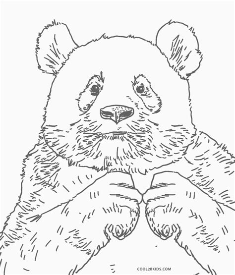 Süße ausmalbilder von kawaii sprechen kinder jeden alters an. Ausmalbilder Kawaii Panda : Https Encrypted Tbn0 Gstatic ...