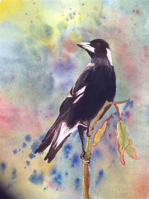 Early Watercolour Australian Magpie Magpie Art Cats Art Drawing