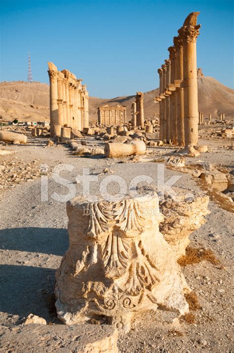 Ancient Ruins In Palmyra Syria Stock Photo Royalty Free Freeimages