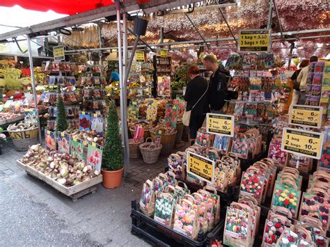 Things to do ranked using tripadvisor data including reviews, ratings, photos, and popularity. Free stock photo of Amsterdam gift shop, Amsterdam street ...