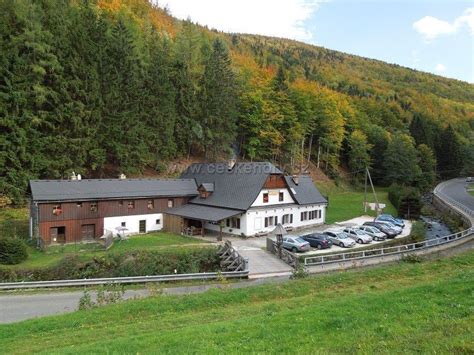Objednávejte doručení květiny online nebo využijte rozvoz květin po praze i rozvoz květin po celé čr. Chata Na mlýně - ubytování, pronájem apartmánů - Domašov ...