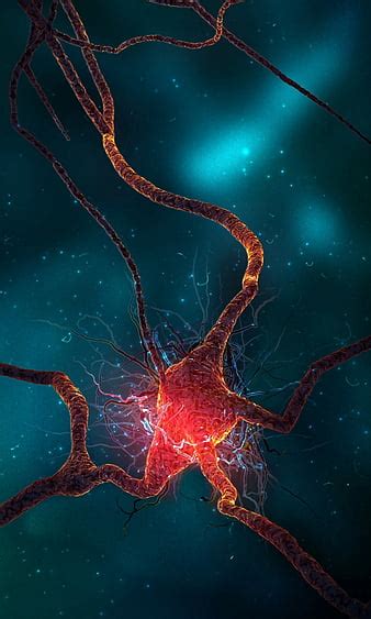 Neuron Iphone Wallpaper