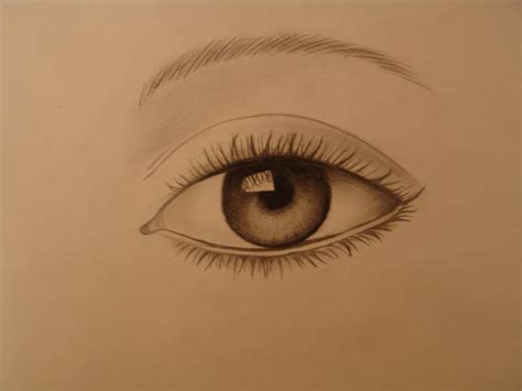 Basic Drawing Eye Drawing Step Draw Easy Eyes Tutorial Realistic