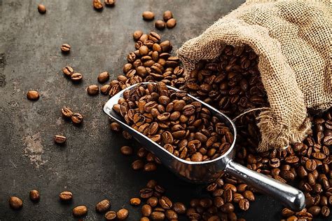 Vittoria Coffee Beans Discount Supplier Save 47 Jlcatjgobmx