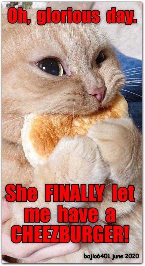 Top 25 Memes Of The Week Cheezburger Users Edition 152 Lolcats N