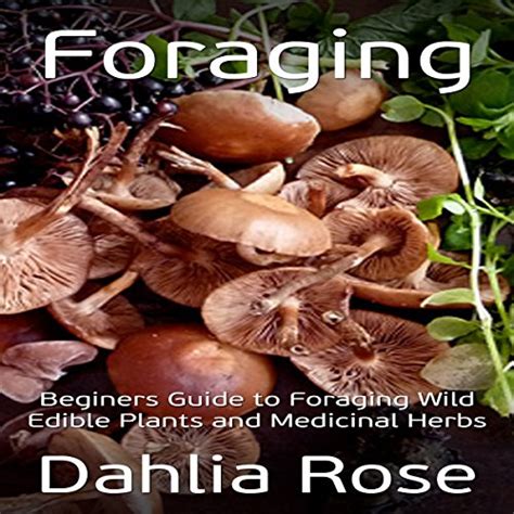 Foraging Beginners Guide To Foraging Wild Edible Plants And Medicinal Herbs Hörbuch Download