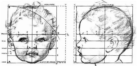 Baby Head Proportions Art Dolls Baby Drawing Andrew Loomis